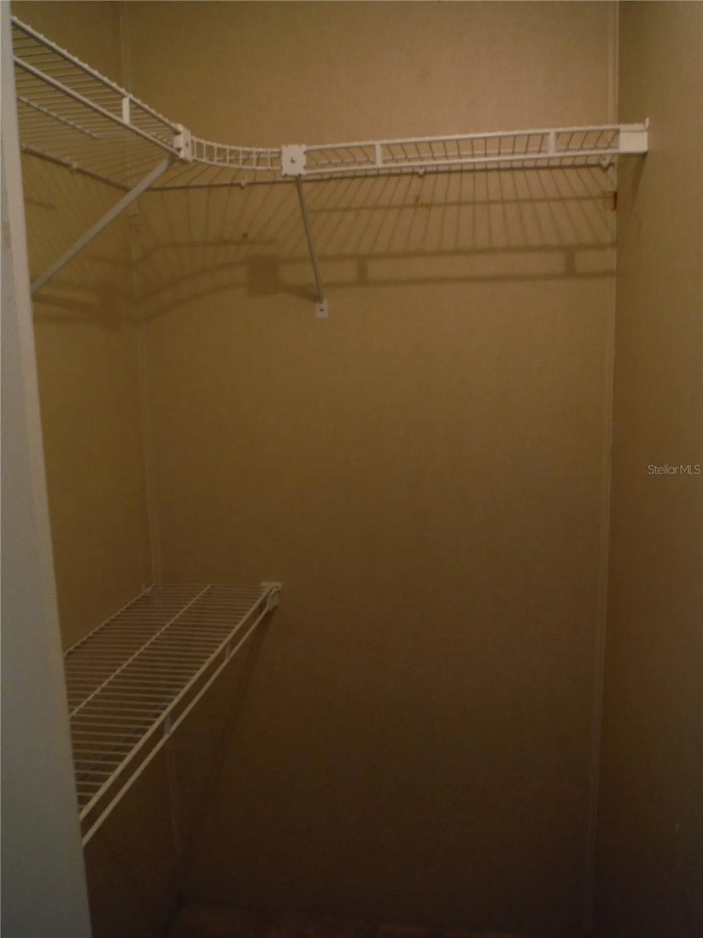 161 Hickory Gate Drive Palm Harbor FL 34684