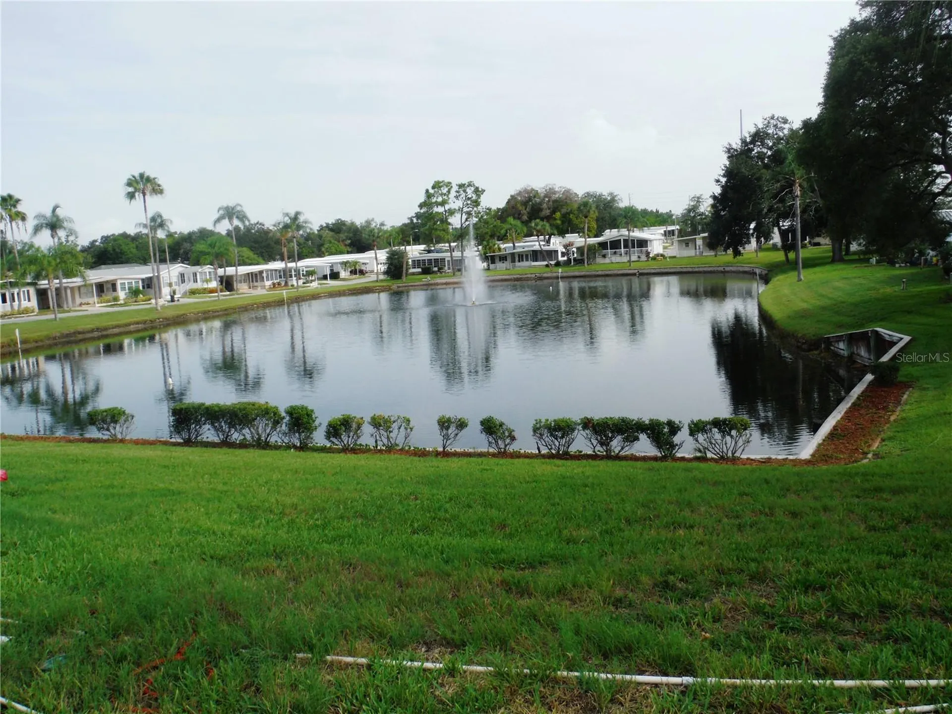 161 Hickory Gate Drive Palm Harbor FL 34684