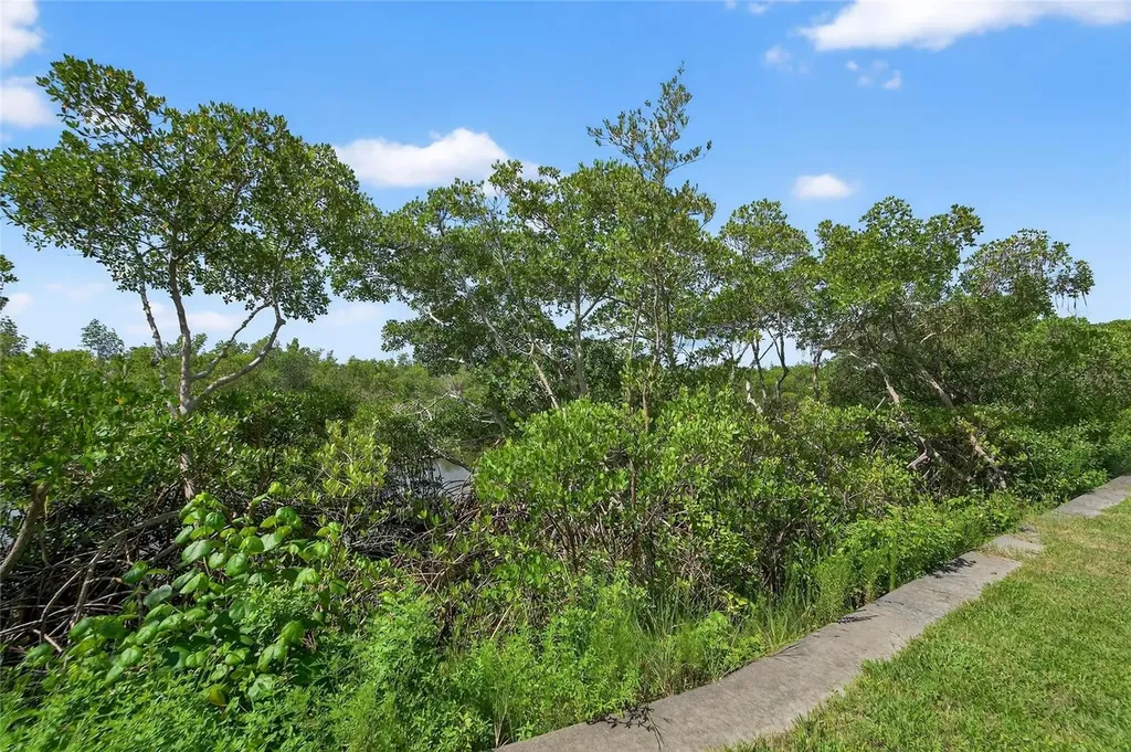 3266 Mangrove Point Drive Ruskin FL 33570