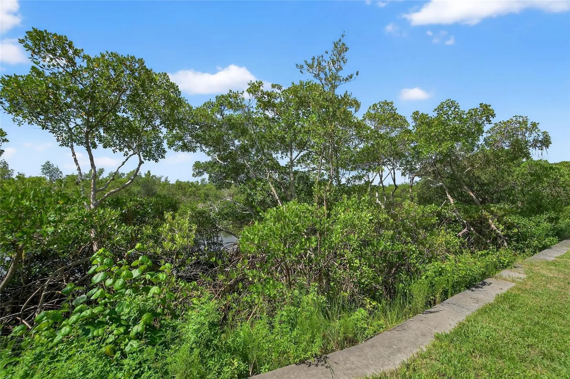 3266 Mangrove Point Drive Ruskin FL 33570