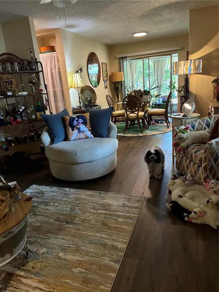 142 S Simpson Street Mount Dora FL 32757