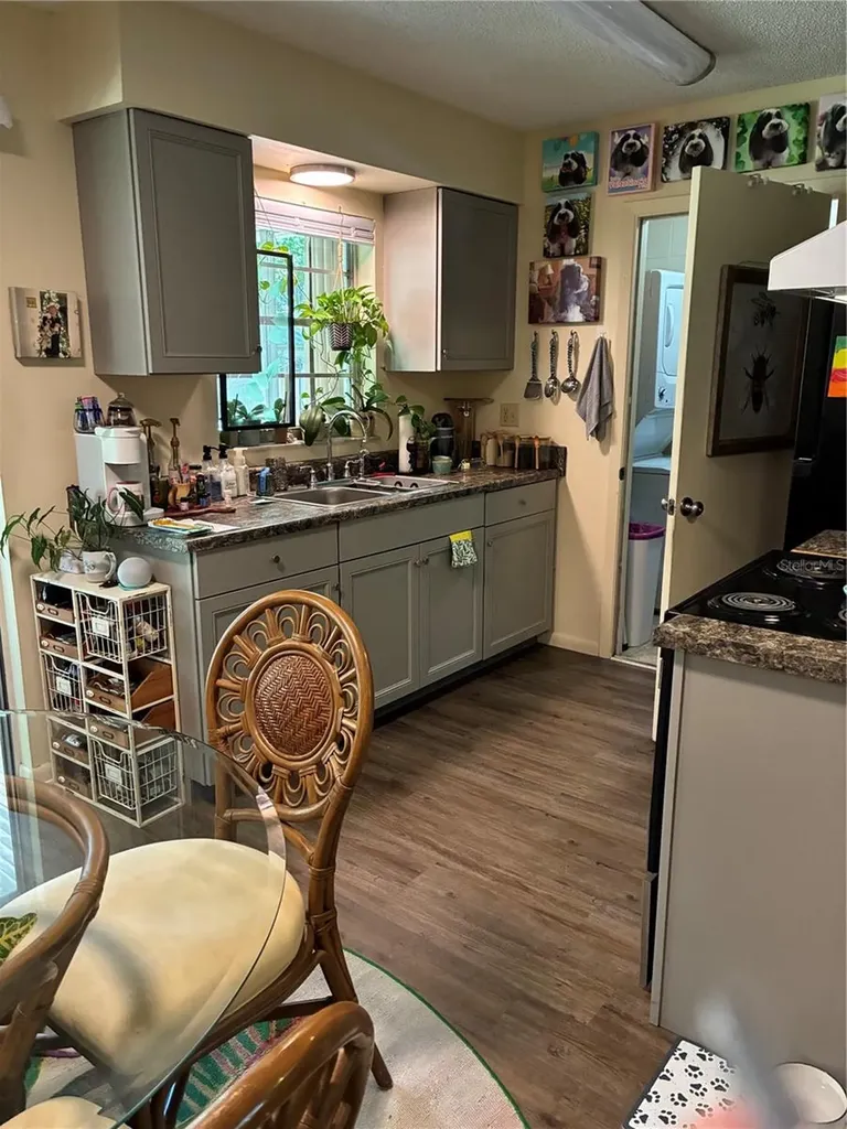 142 S Simpson Street Mount Dora FL 32757