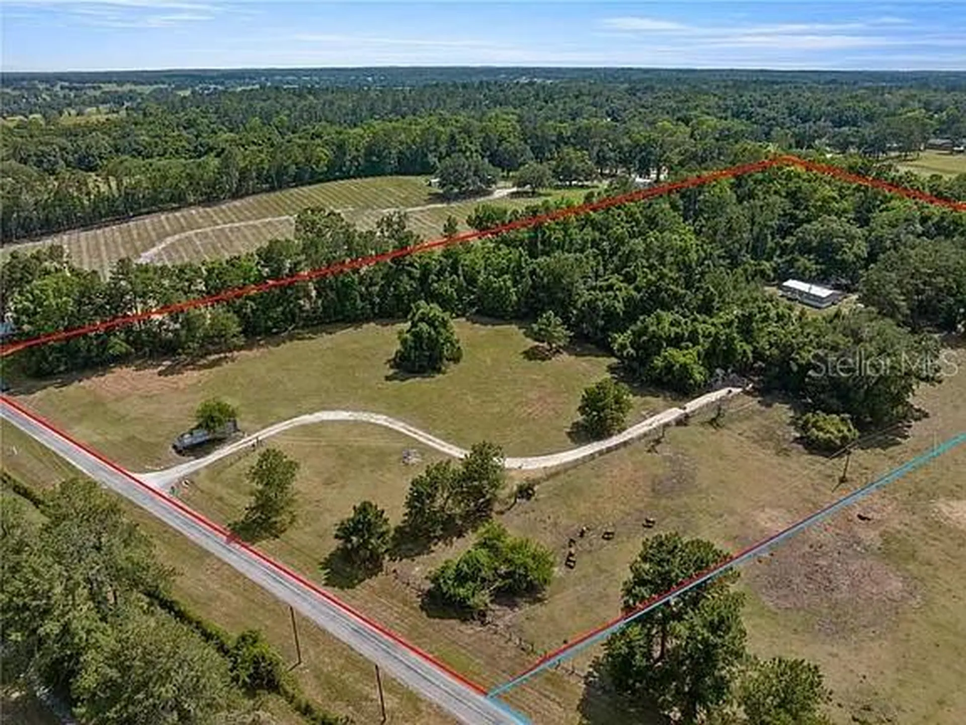 15340 NW 65th Avenue Road Reddick FL 32686