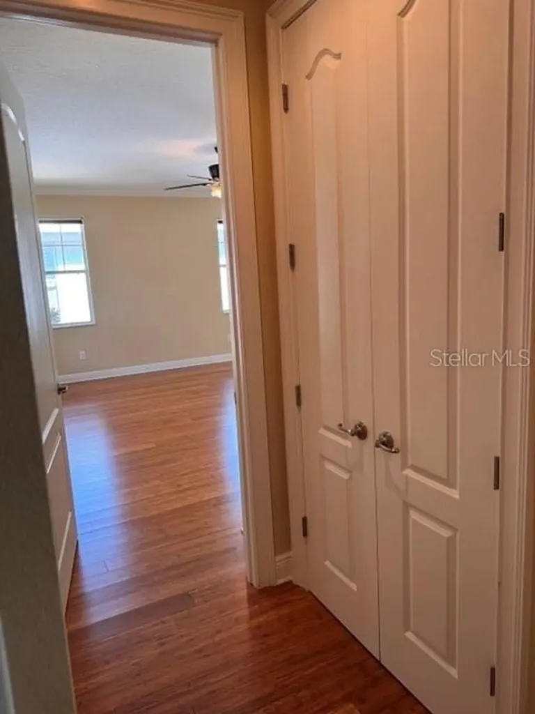 6803 Lockington Court Tampa FL 33625