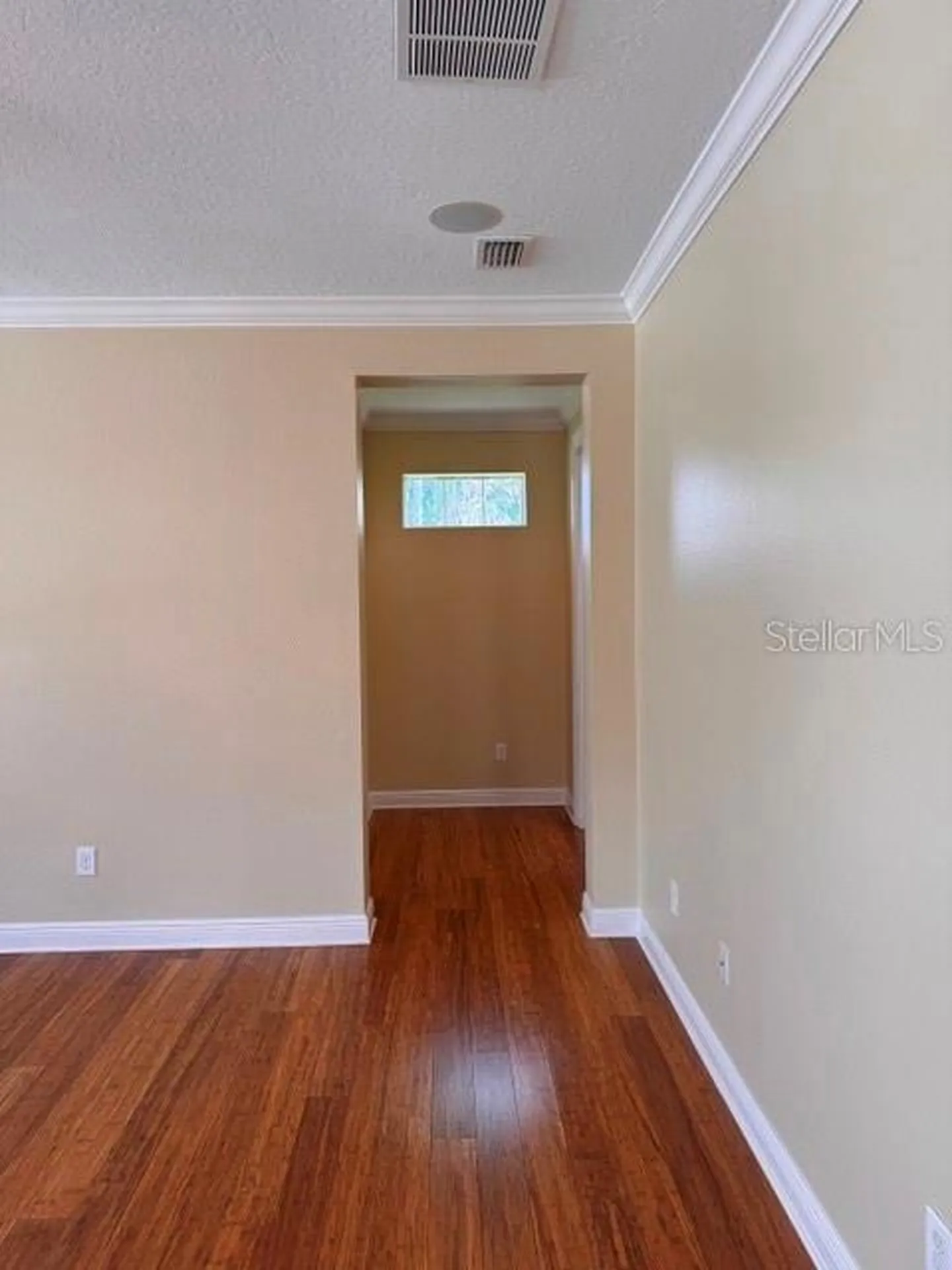 6803 Lockington Court Tampa FL 33625