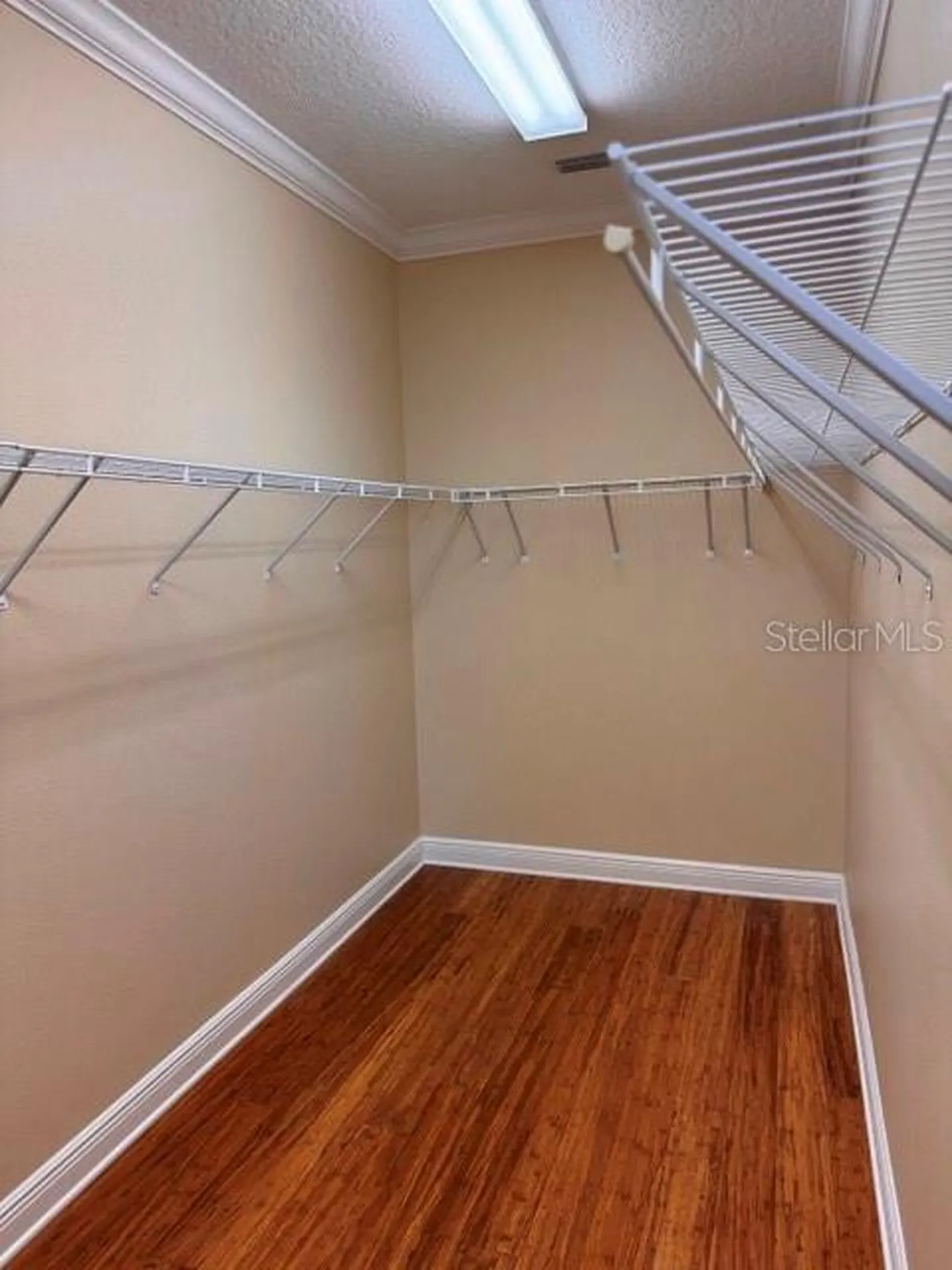 6803 Lockington Court Tampa FL 33625