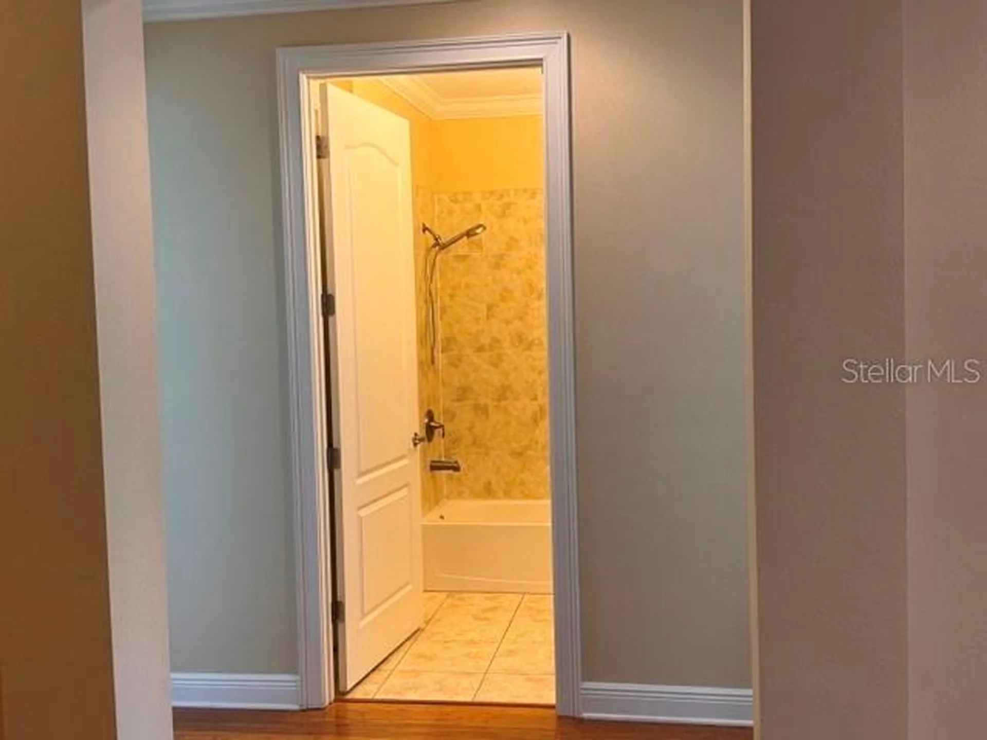 6803 Lockington Court Tampa FL 33625