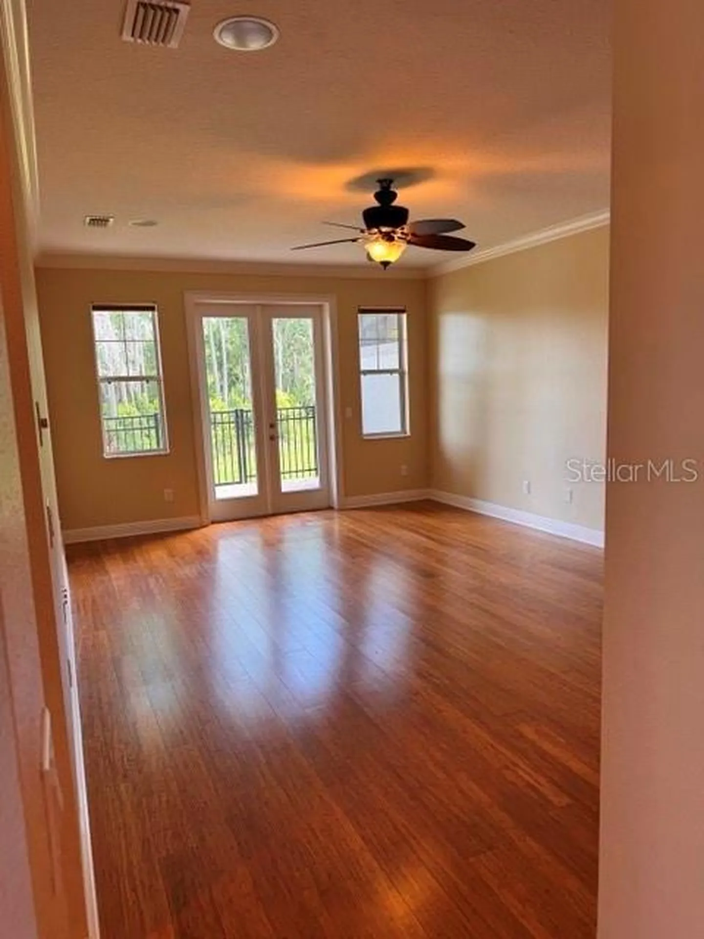 6803 Lockington Court Tampa FL 33625