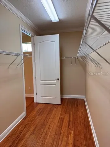 6803 Lockington Court Tampa FL 33625
