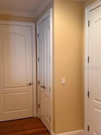 6803 Lockington Court Tampa FL 33625