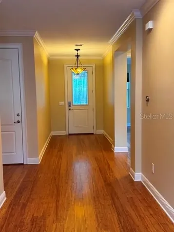 6803 Lockington Court Tampa FL 33625