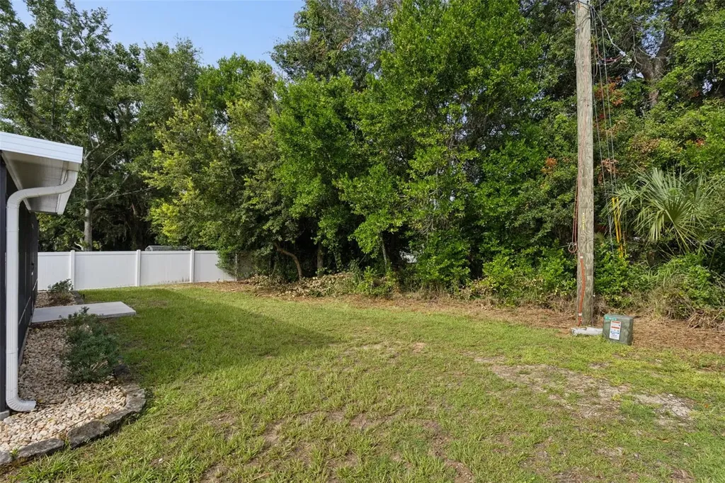 209 Jean Street Tavares FL 32778