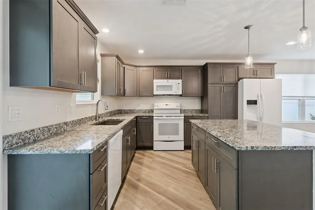 209 Jean Street Tavares FL 32778