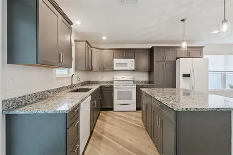 209 Jean Street Tavares FL 32778