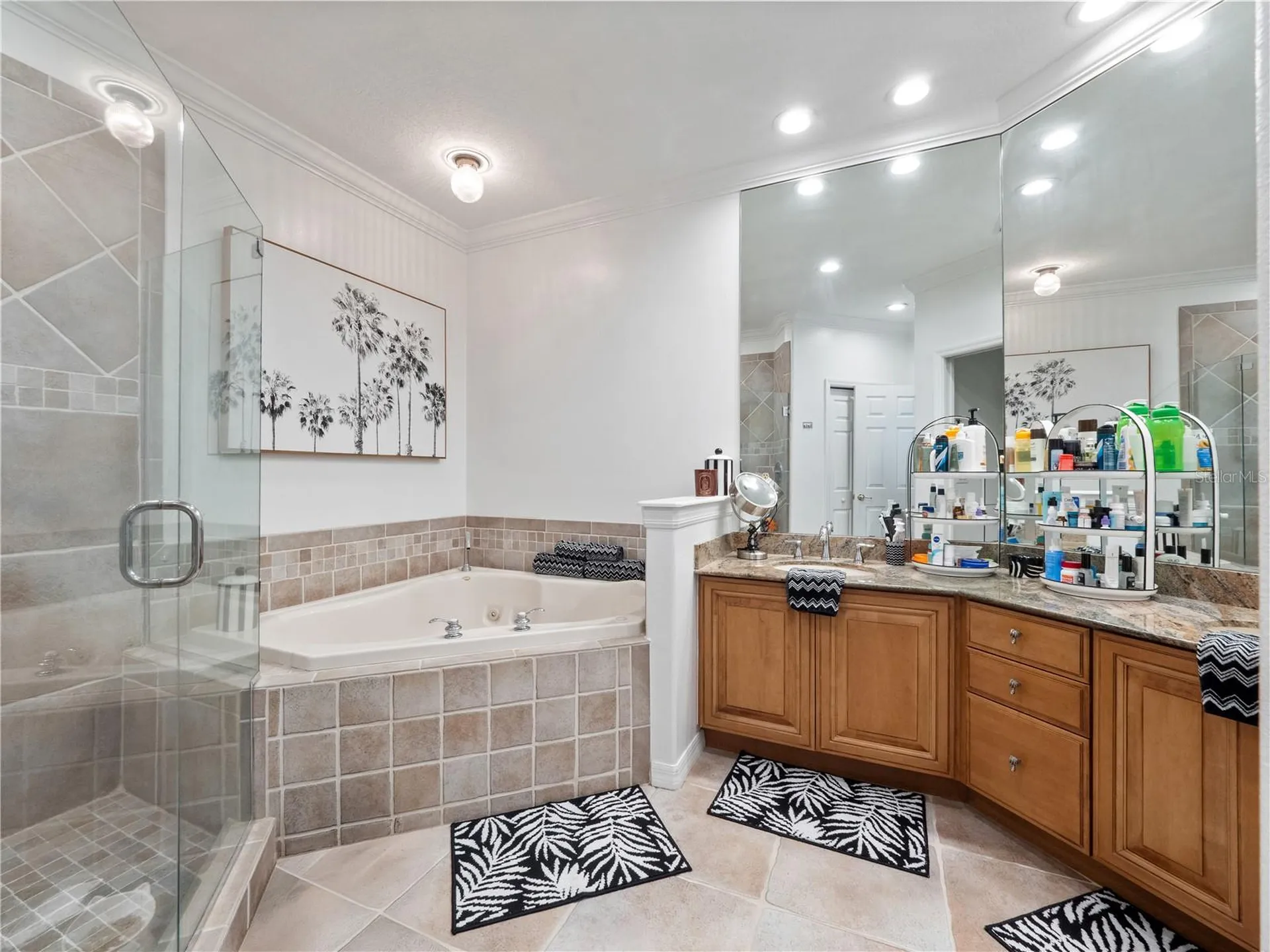 8224 Tivoli Drive Orlando FL 32836
