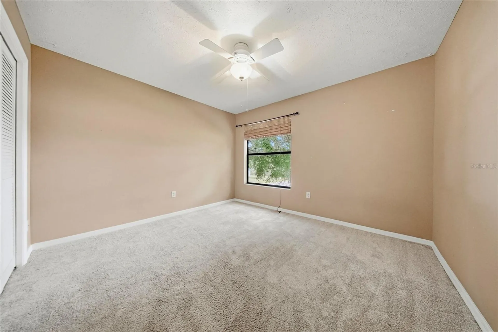 2704 Buckhorn Oaks Drive Valrico FL 33594