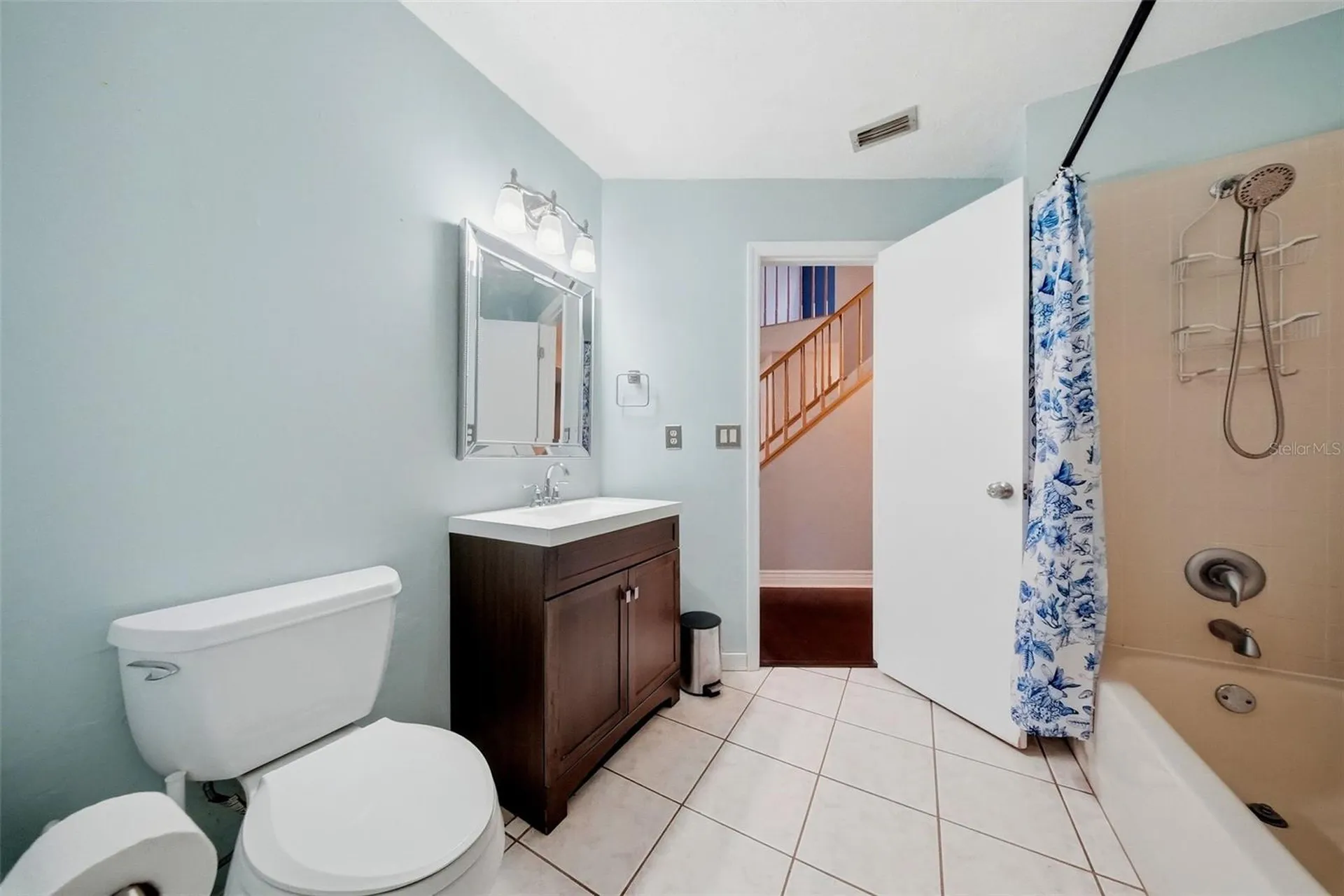 2704 Buckhorn Oaks Drive Valrico FL 33594