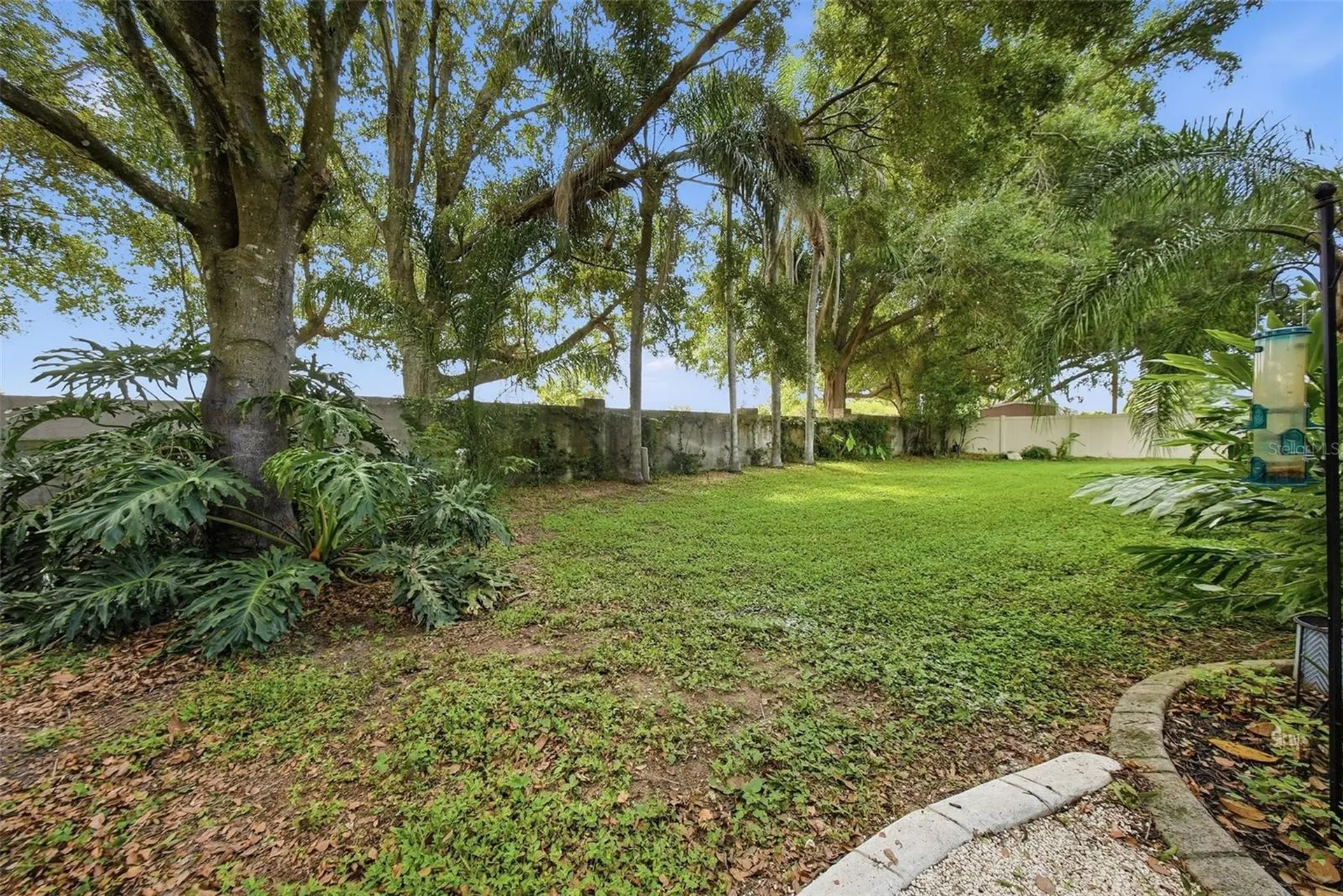 2704 Buckhorn Oaks Drive Valrico FL 33594