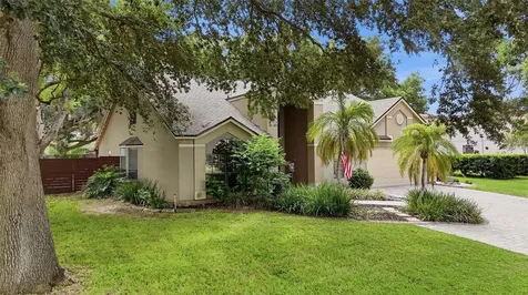 2704 Buckhorn Oaks Drive Valrico FL 33594