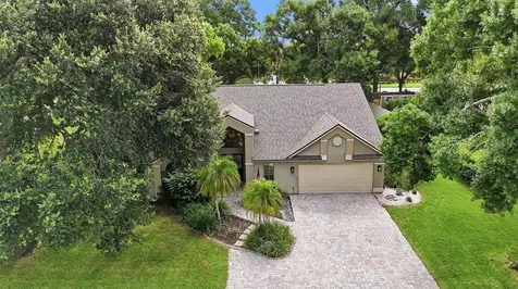2704 Buckhorn Oaks Drive Valrico FL 33594