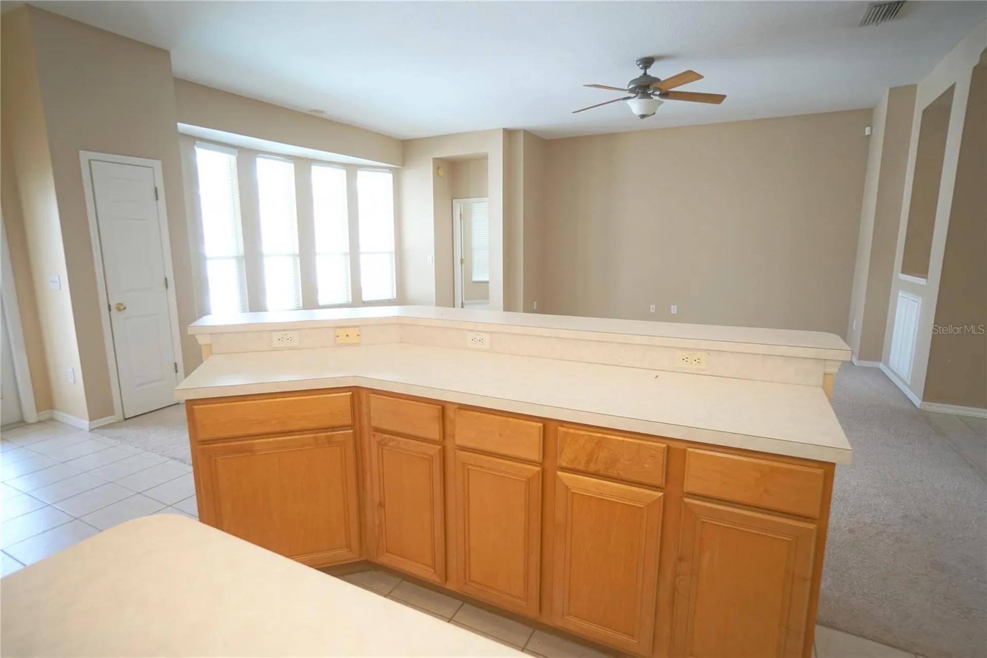 12402 Windmill Cove Drive Riverview FL 33569