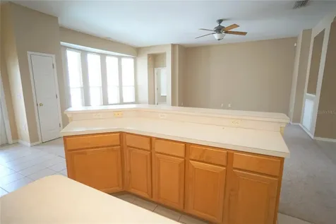 12402 Windmill Cove Drive Riverview FL 33569