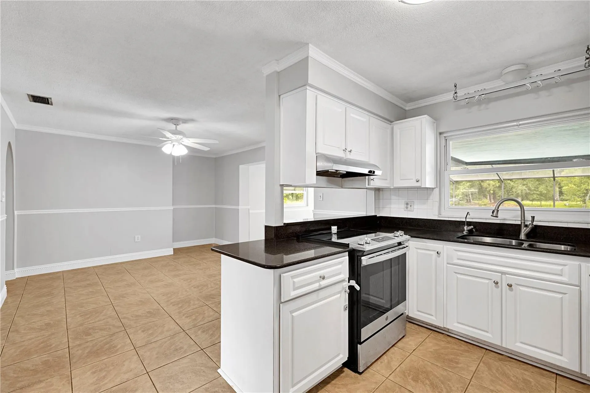 4314 Lark Drive Dover FL 33527