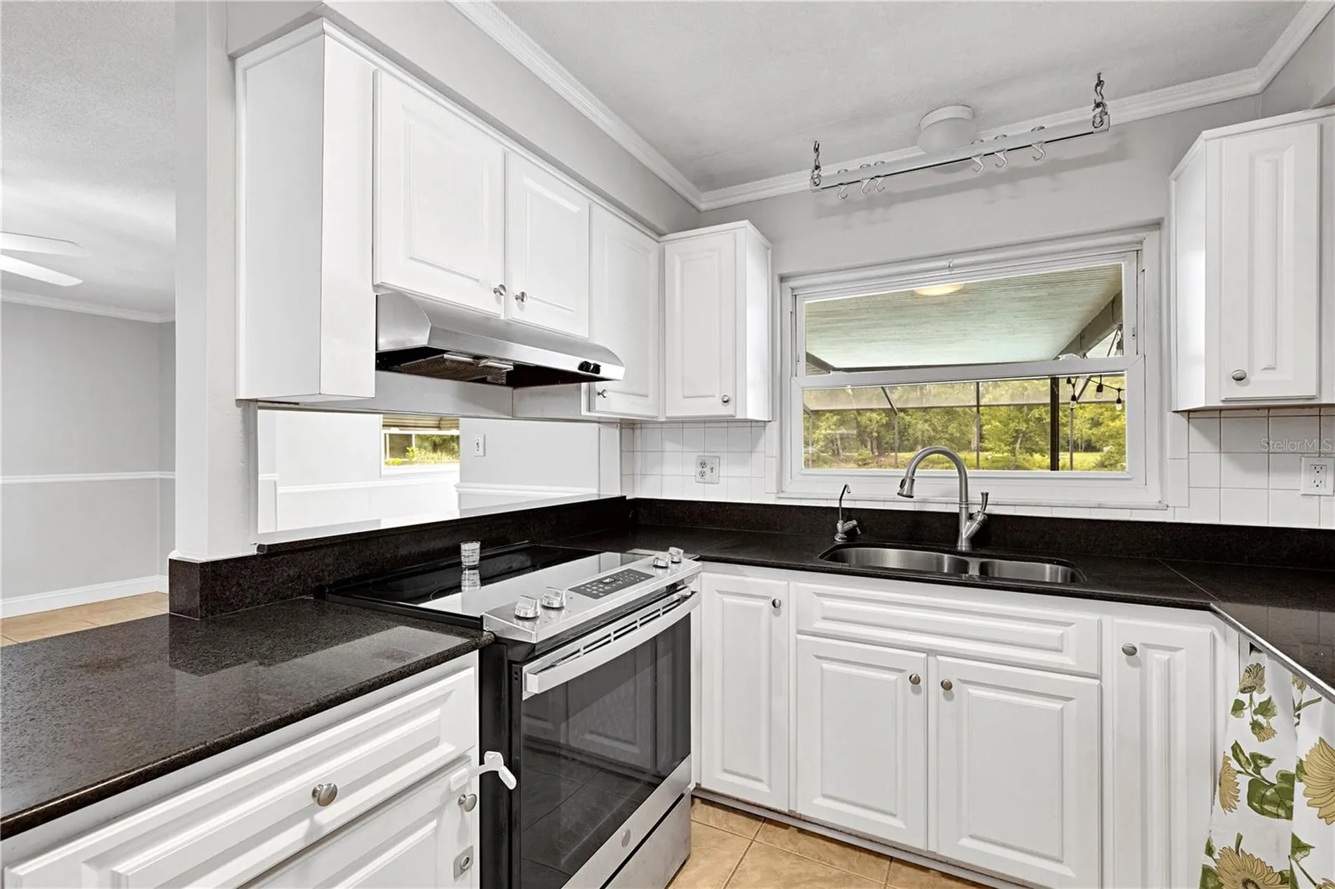 4314 Lark Drive Dover FL 33527