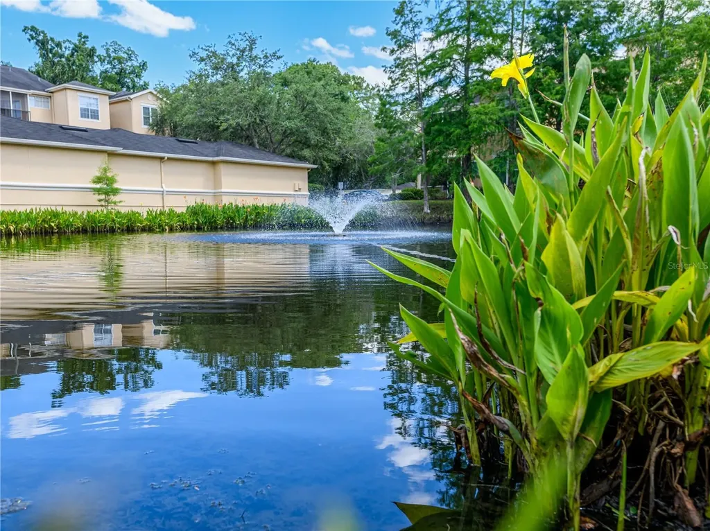 5125 Palm Springs Boulevard Tampa FL 33647