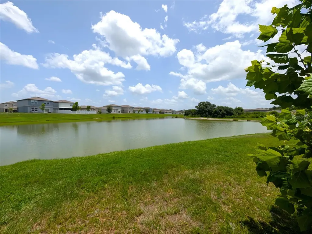 35491 Shade Fern Lane Zephyrhills FL 33541