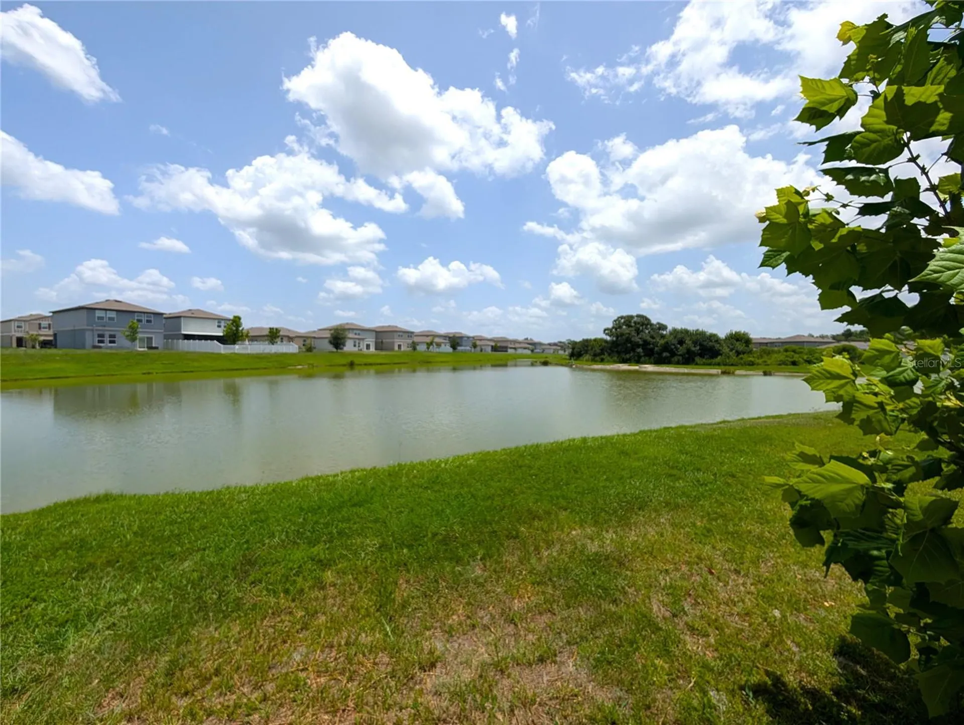 35491 Shade Fern Lane Zephyrhills FL 33541