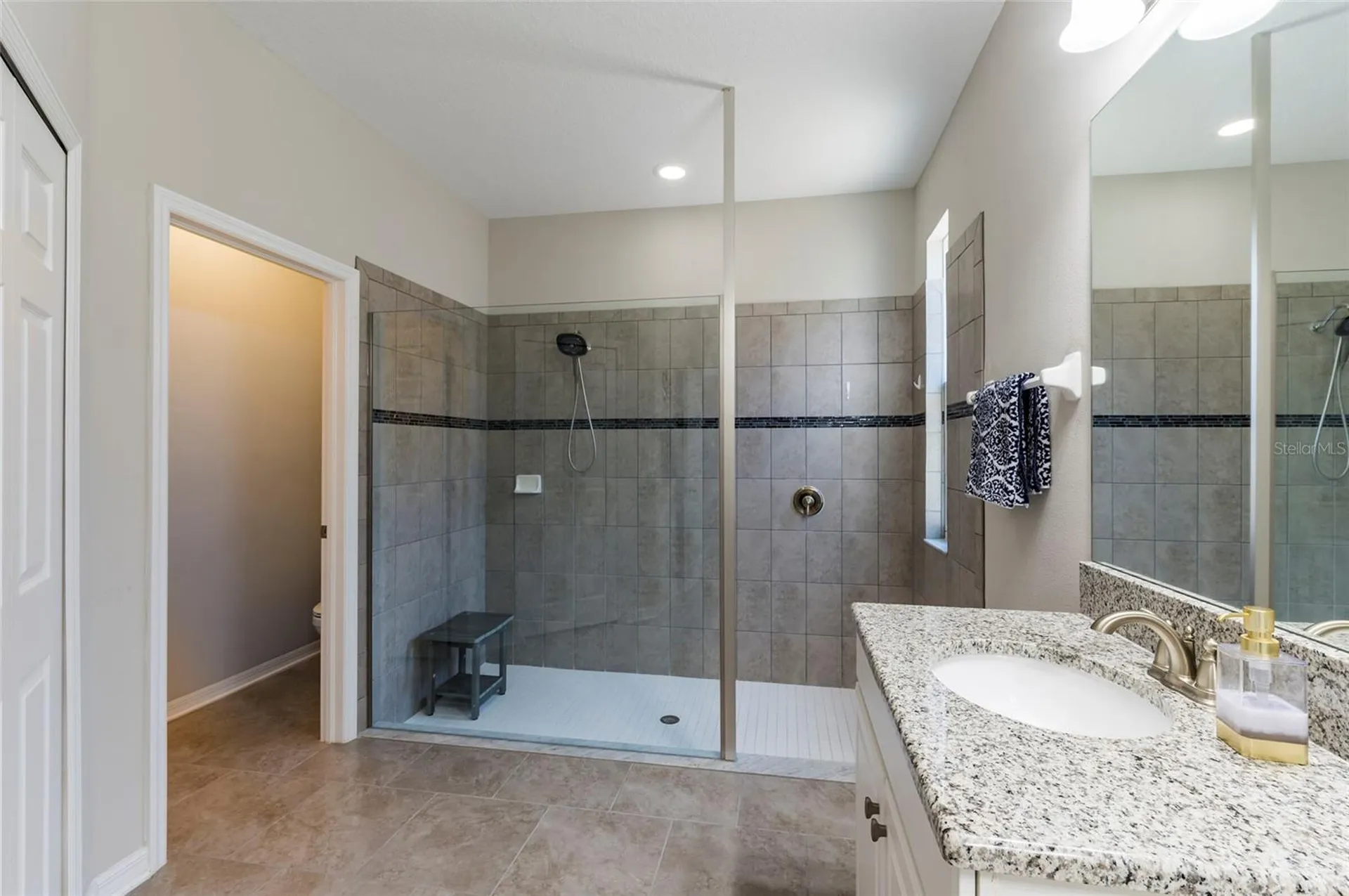 11420 Amapola Bloom Court Riverview FL 33579