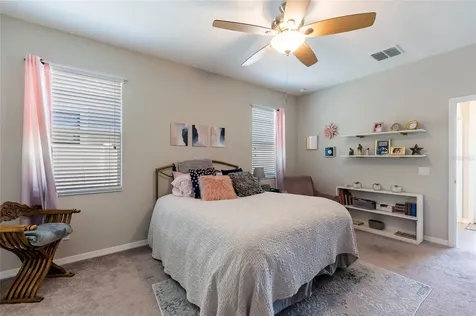 11420 Amapola Bloom Court Riverview FL 33579