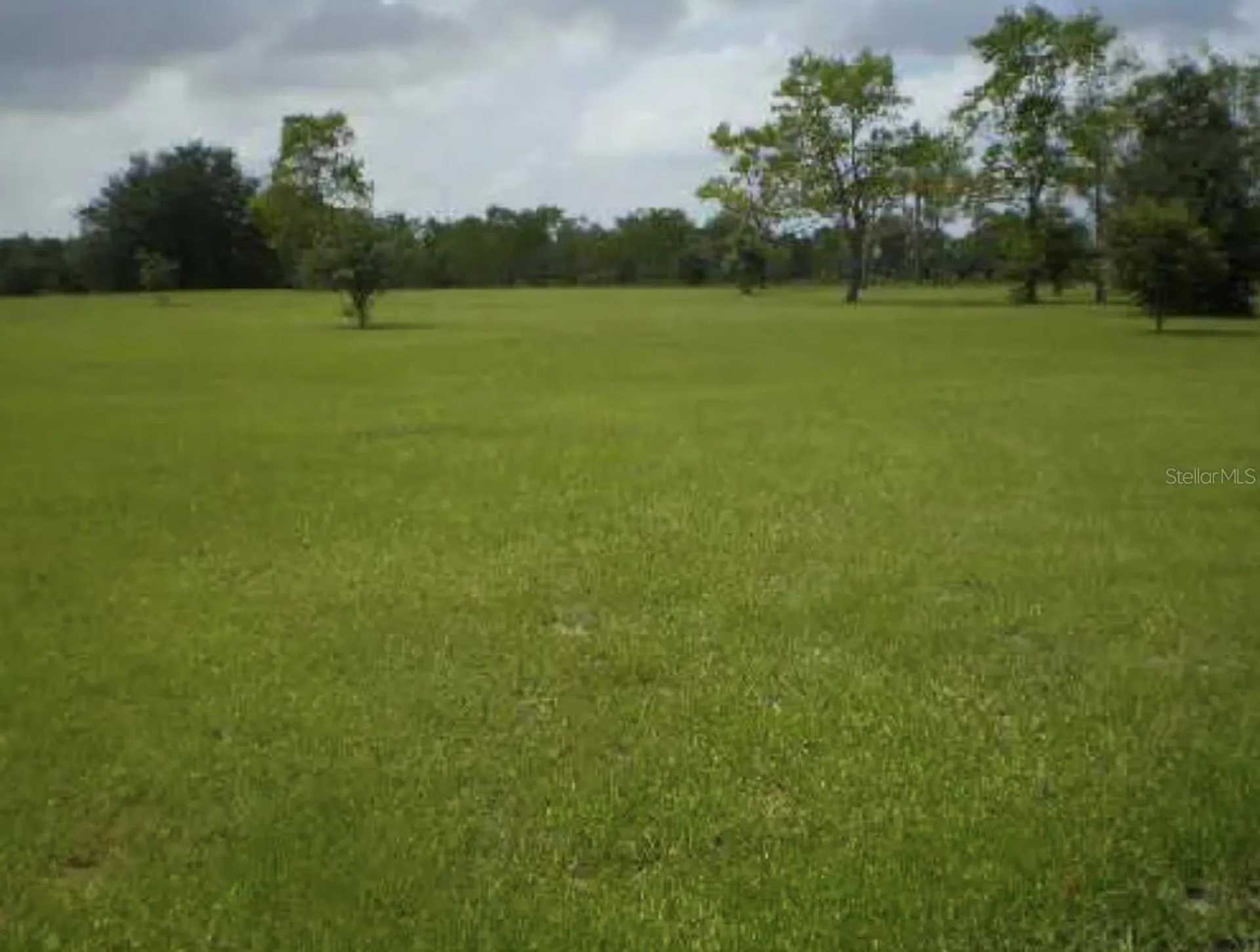 25429 Shetland Trail Sorrento FL 32776