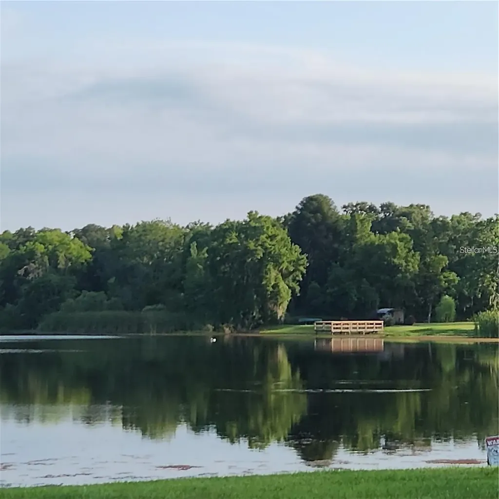 22630 Gage Loop Land O Lakes FL 34639