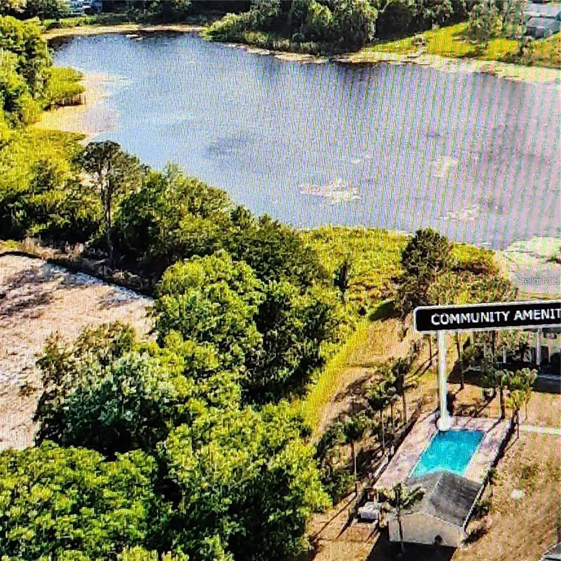 22630 Gage Loop Land O Lakes FL 34639