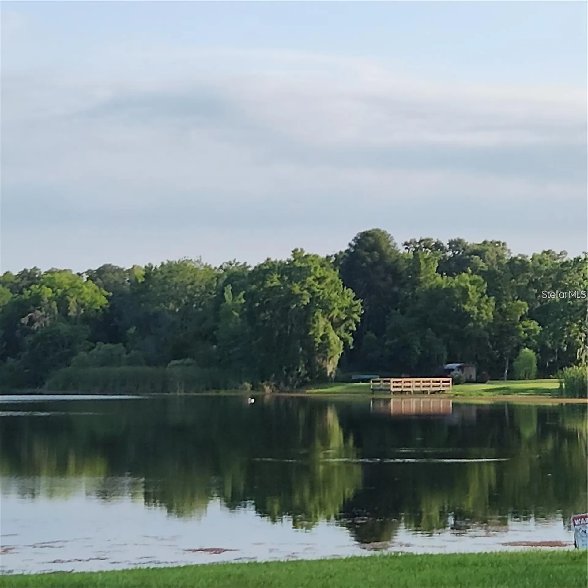 22630 Gage Loop Land O Lakes FL 34639