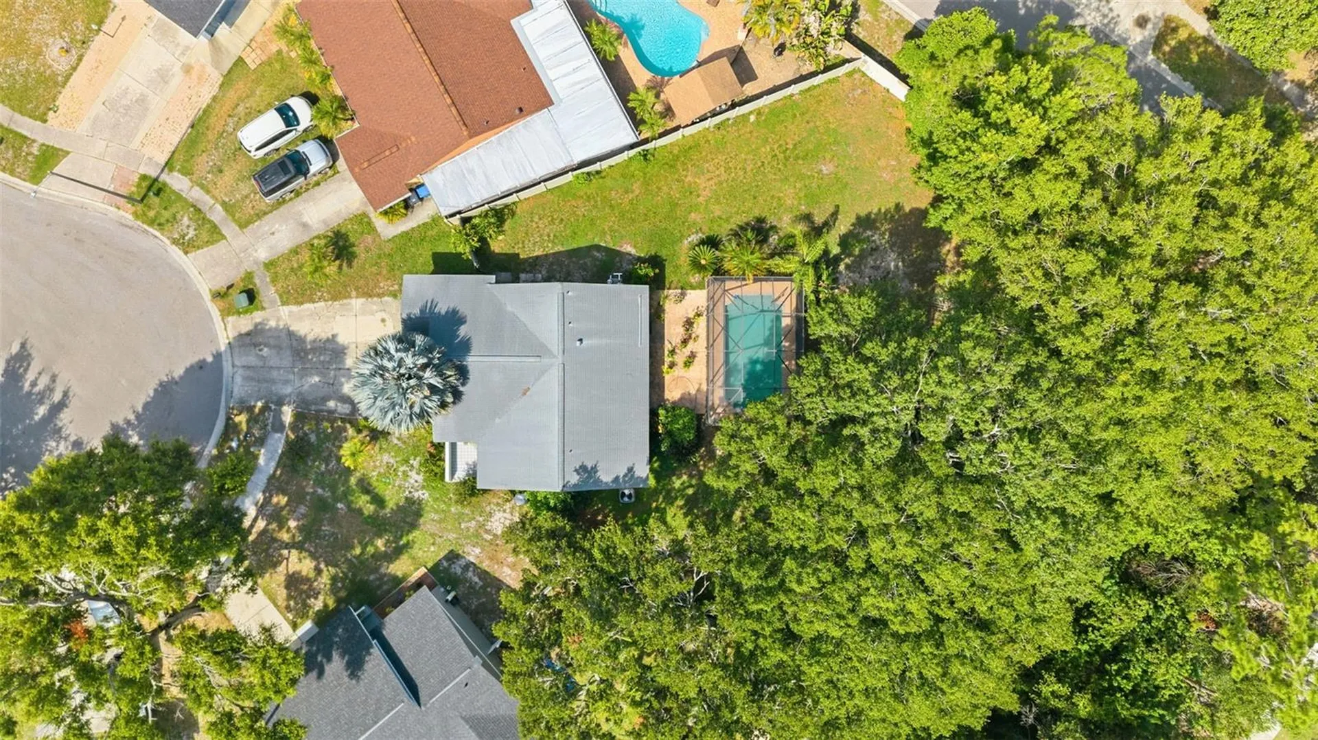 12614 Logan Place Tampa FL 33625