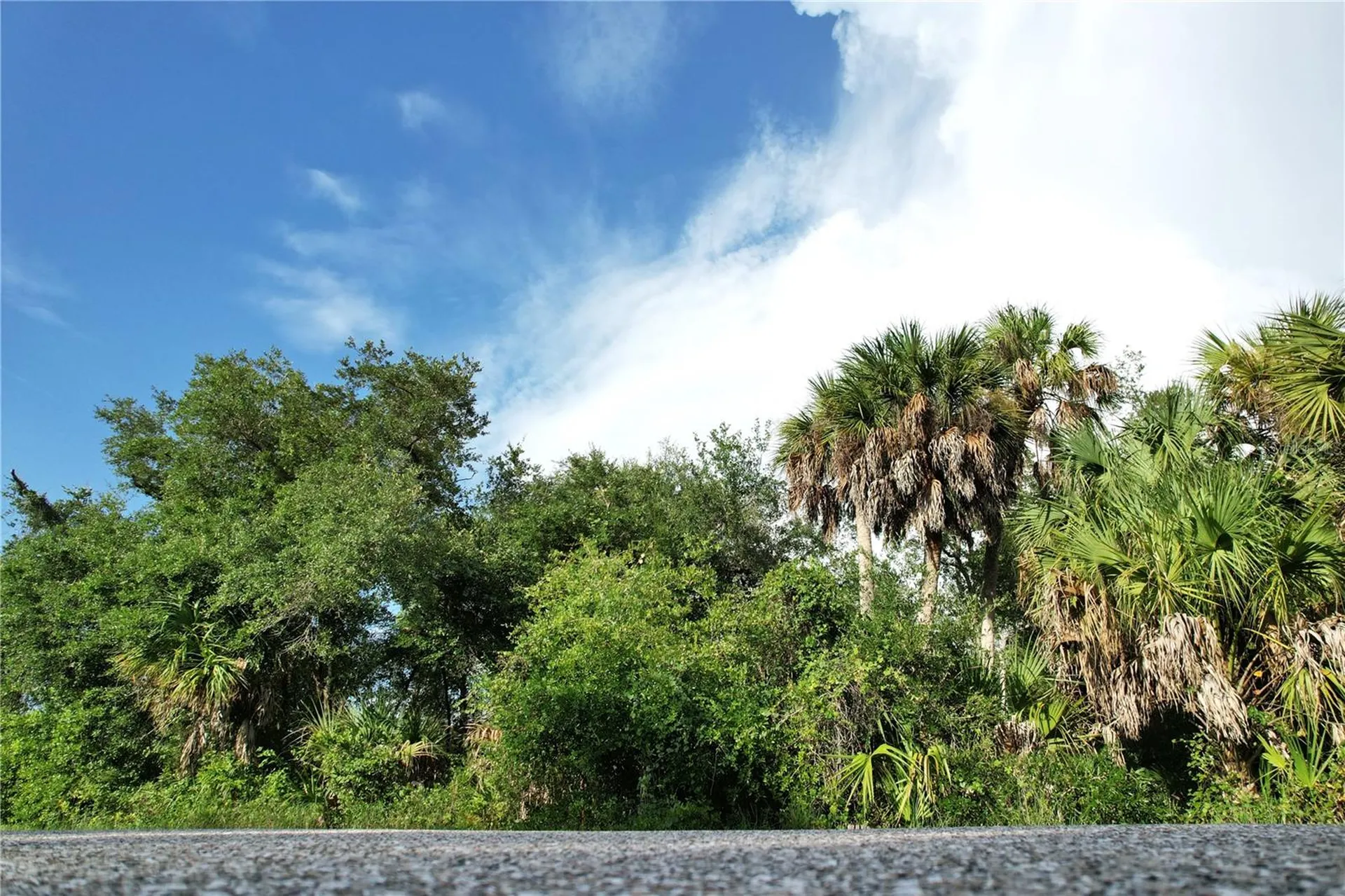 2140 Fernwood Street Port Charlotte FL 33948