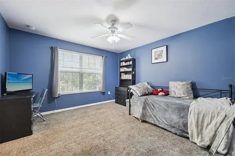 381 Misty Oaks Lane Eustis FL 32736