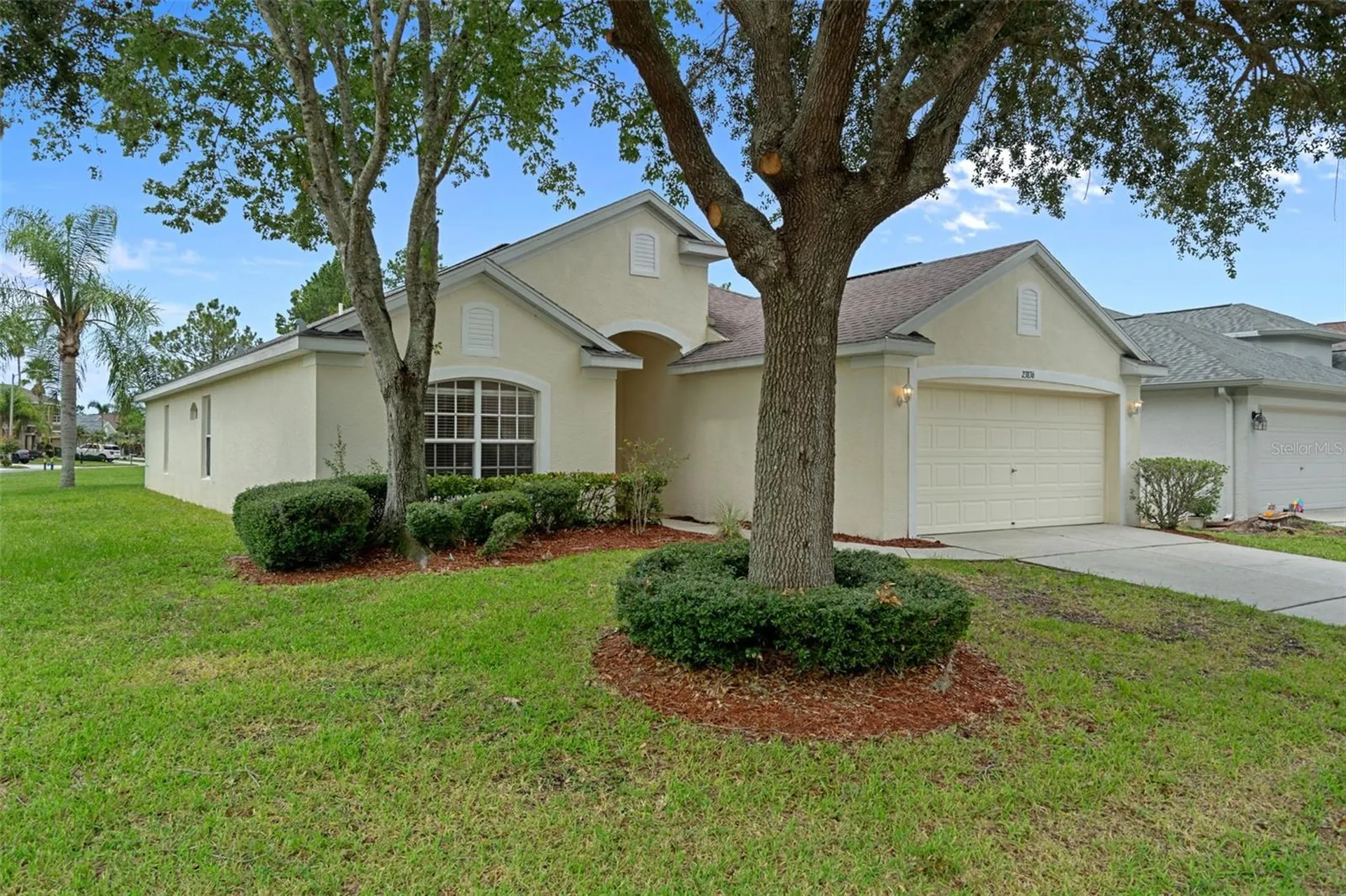 23836 Hastings Way Land O Lakes FL 34639