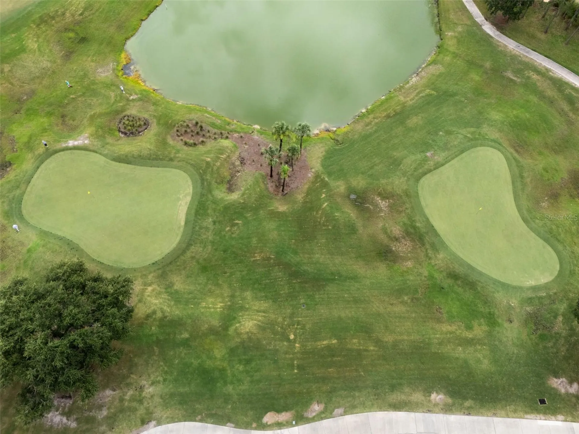 23836 Hastings Way Land O Lakes FL 34639