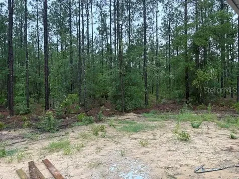 13510 SW 64th Street Road Ocala FL 34481