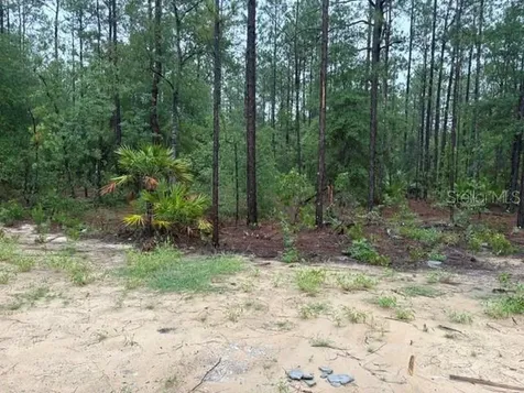 13510 SW 64th Street Road Ocala FL 34481