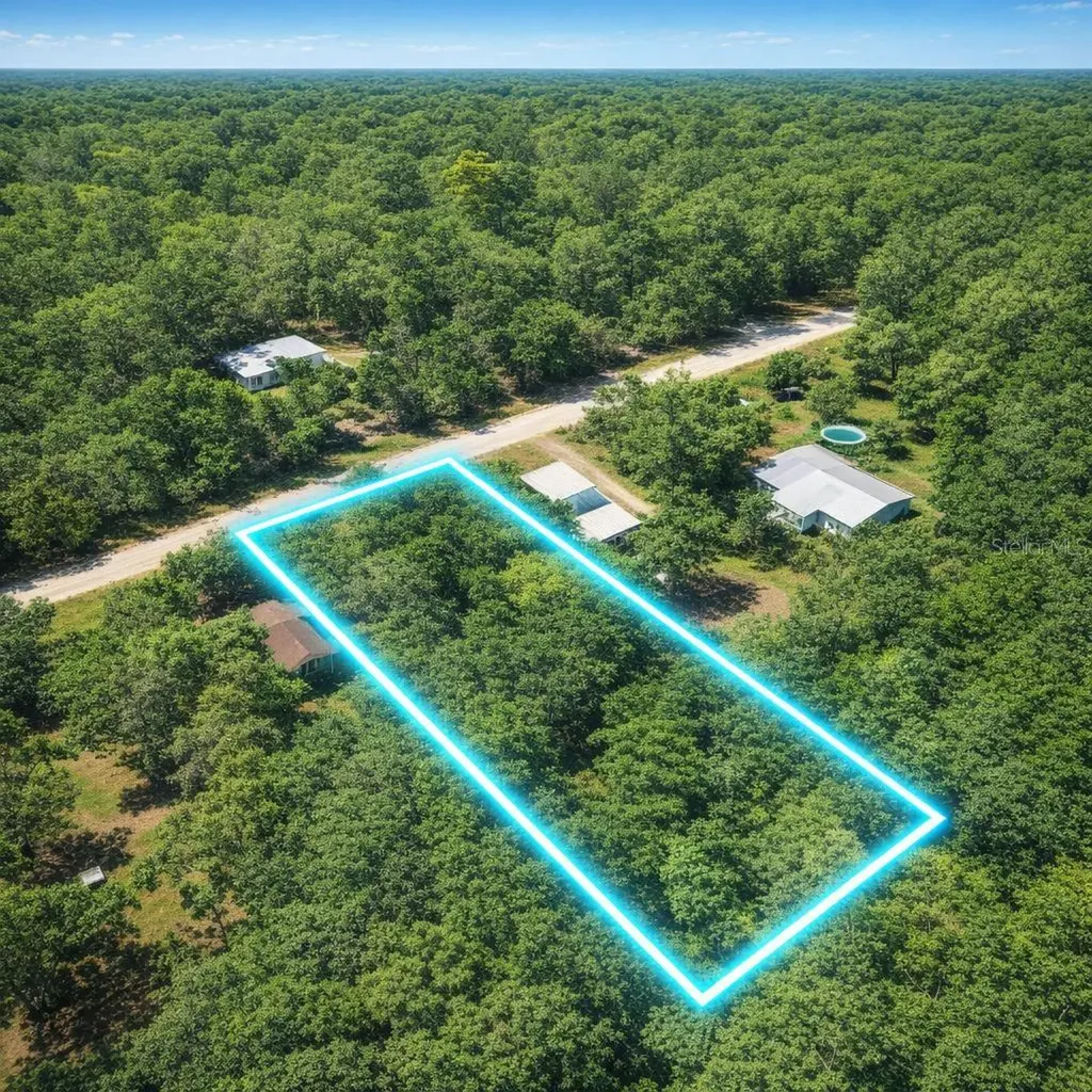 32478 Smallman Street Webster FL 33597