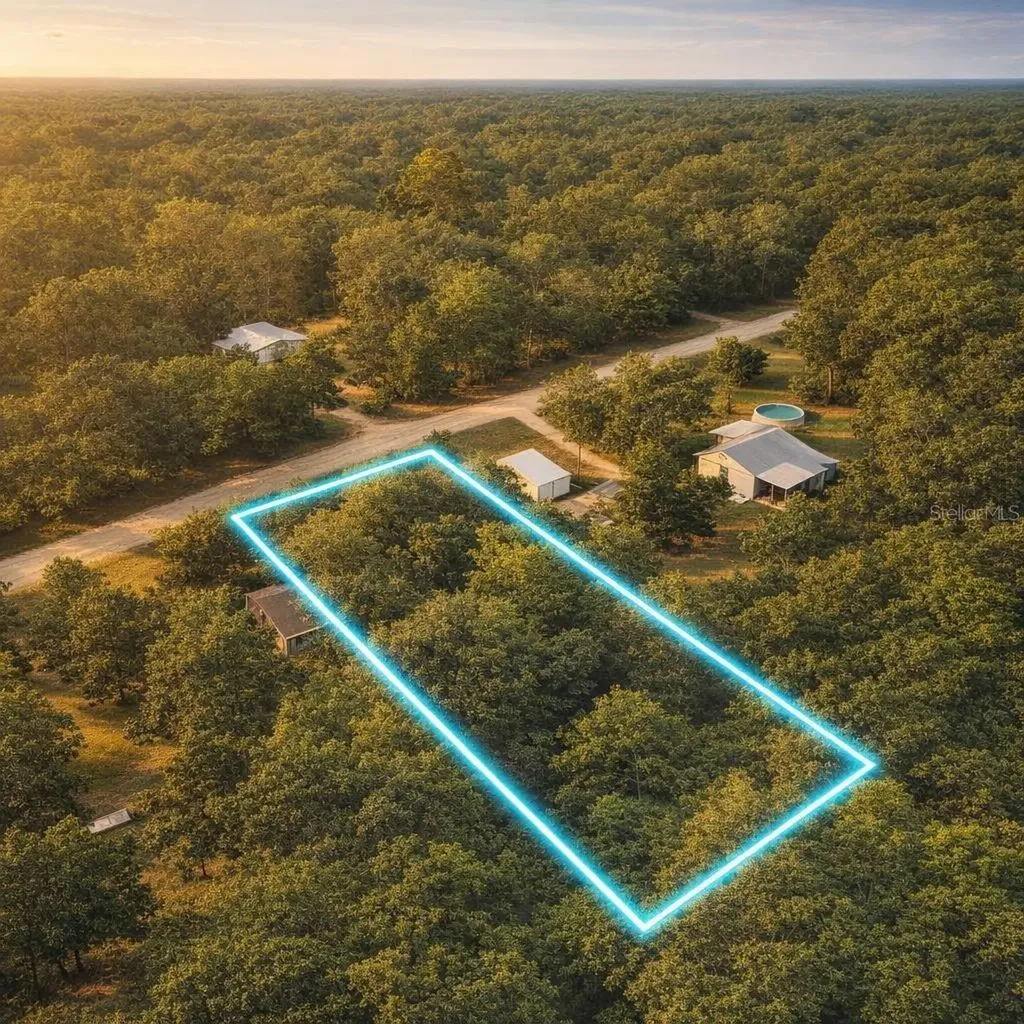 32478 Smallman Street Webster FL 33597