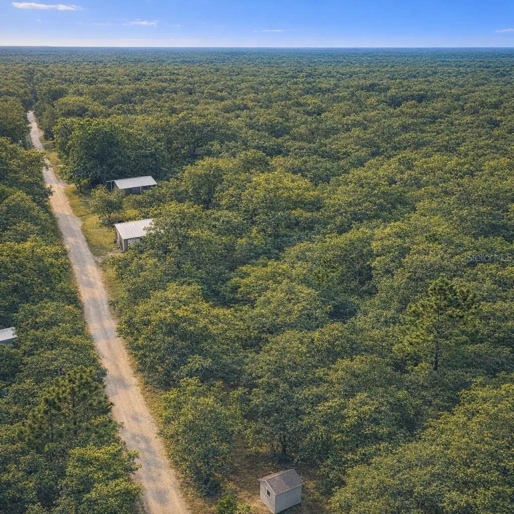 32478 Smallman Street Webster FL 33597