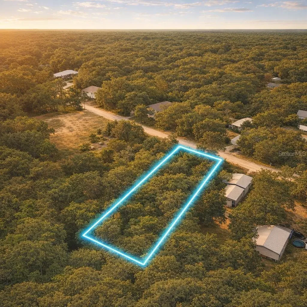 32478 Smallman Street Webster FL 33597