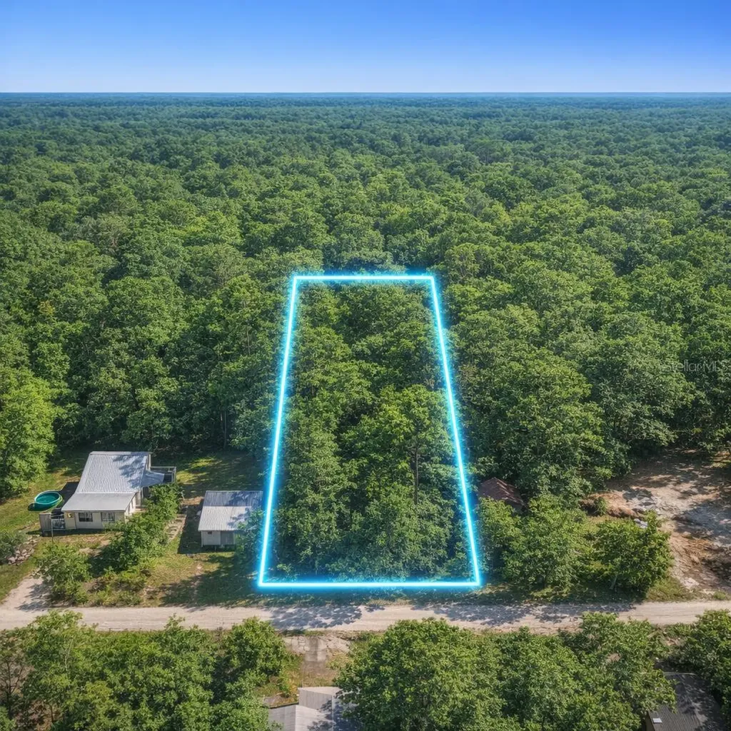 32478 Smallman Street Webster FL 33597