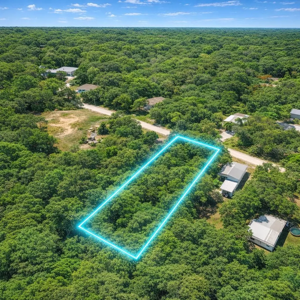 32478 Smallman Street Webster FL 33597